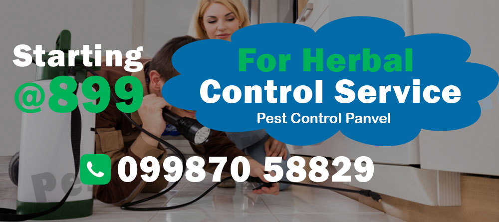 Herbal Pest Control