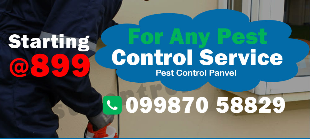 Pest Control Services
